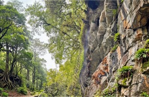 Mad Honey Expedition in Gurung Village